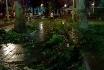 Ураган и ливень парализовал Гянджу: Есть пострадавшие