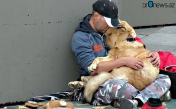 Фотографии, доказывающие, что собаки любят нас независимо от того, сколько у нас денег