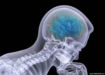 Как формируется память в мозге - новейшие исследования человечества