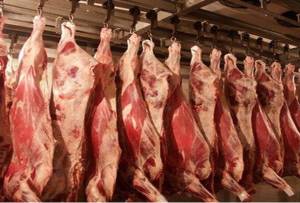 В Азербайджане обнаружены тонны мяса неизвестного происхождения